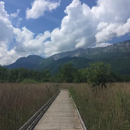 Camping Lakeside Cabin 4*
